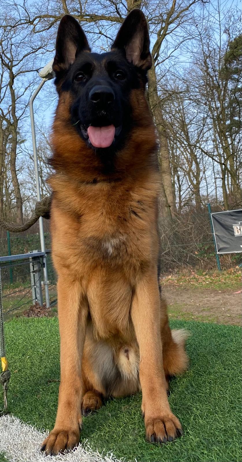 WhatsApp Image 2026-01-27 at 11.12.13 AM