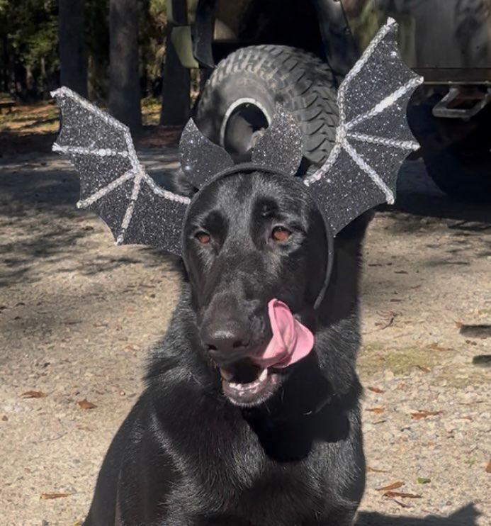 WhatsApp Image 2026-02-05 at 11.46.14 AM