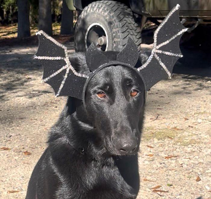 WhatsApp Image 2026-02-05 at 11.46.15 AM