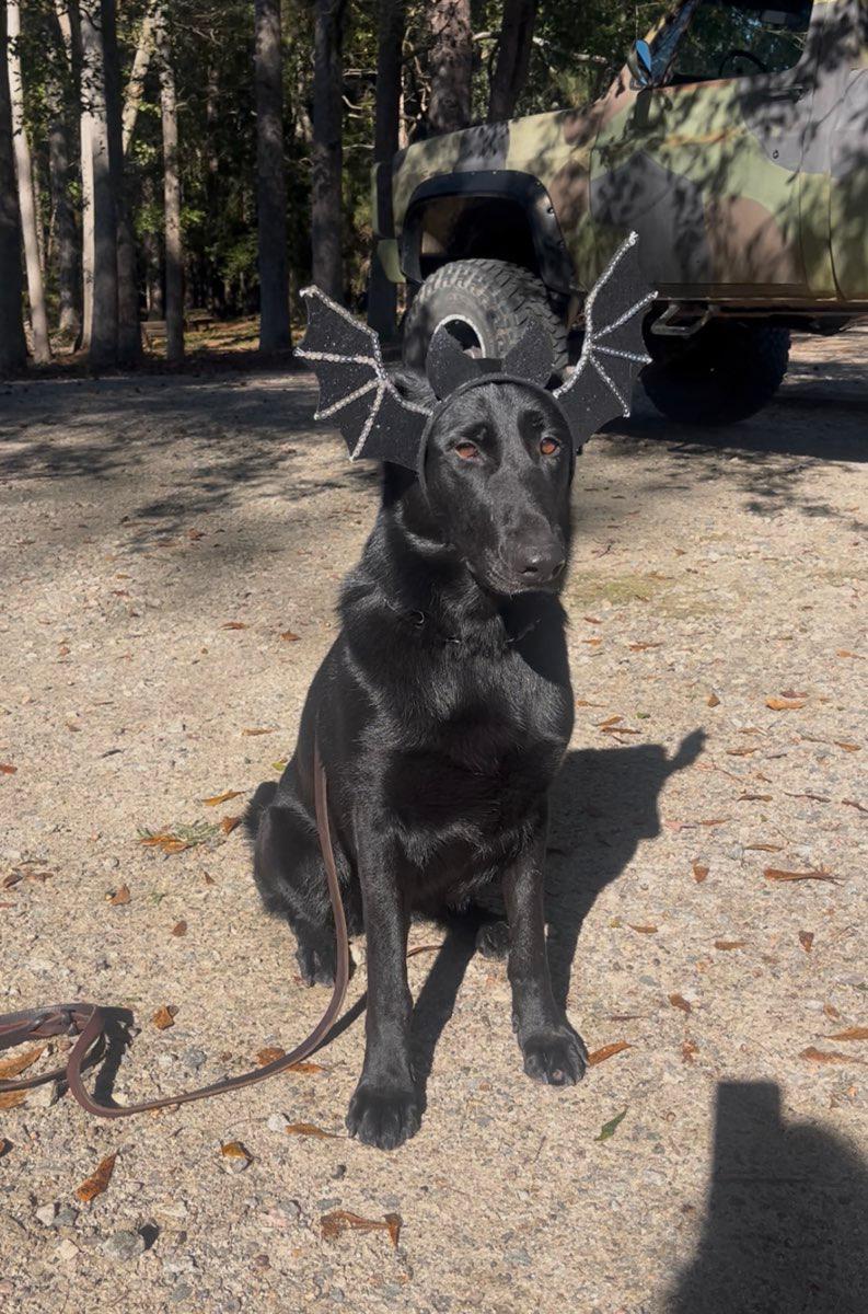 WhatsApp Image 2026-02-05 at 11.46.16 AM