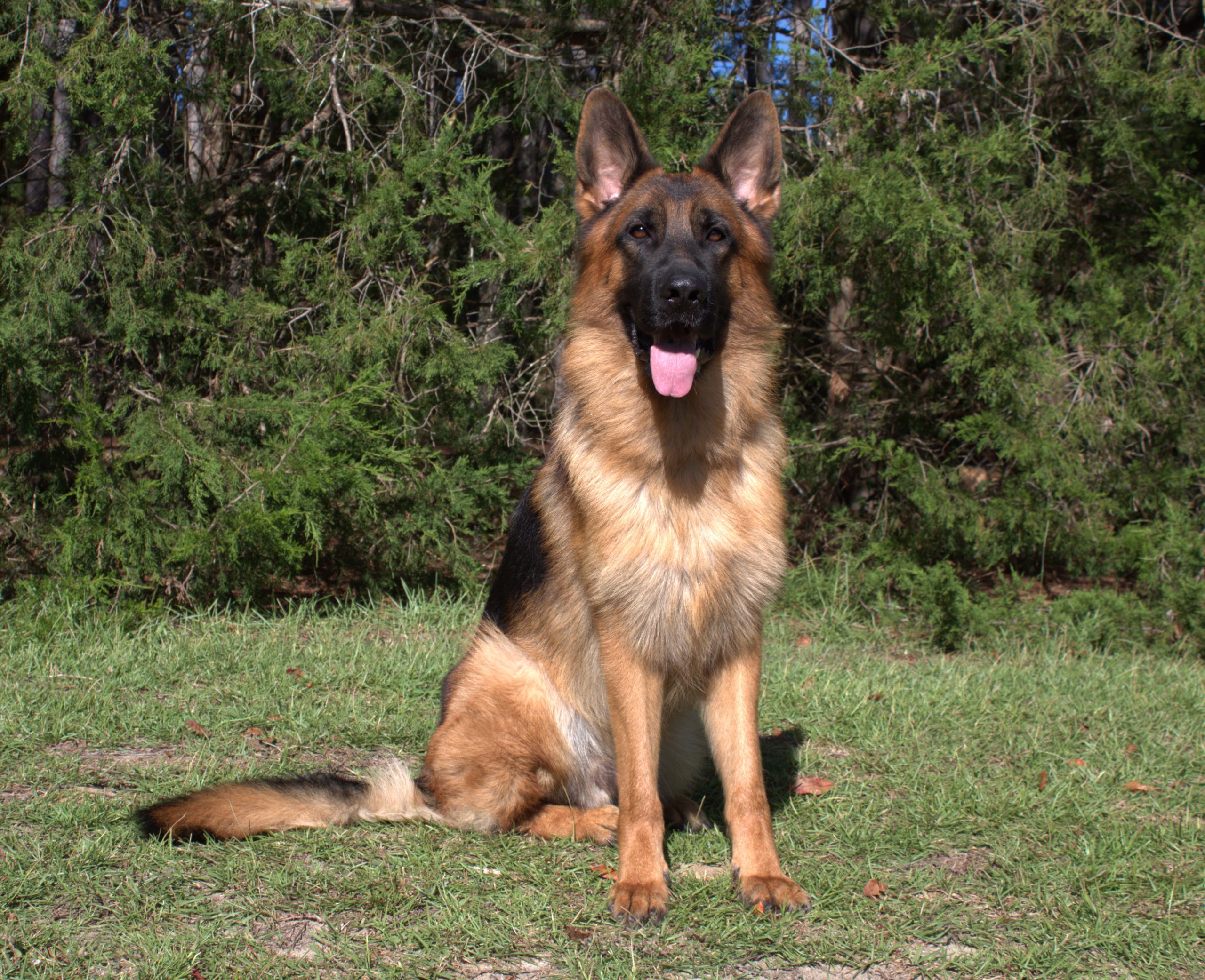 IMG_0237